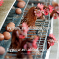 Chicken Poultry Farm Design For Cage Layer Equipment House